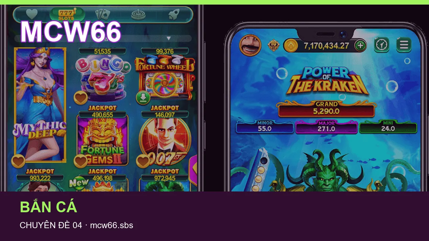 Danh sách kiểm tra thông tin Slot dành cho người đọc MCW66